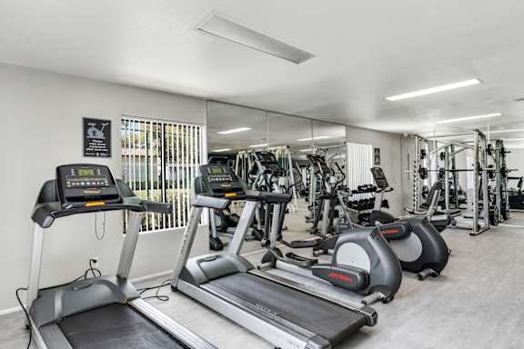 Cardio Machines at Solara, Phoenix