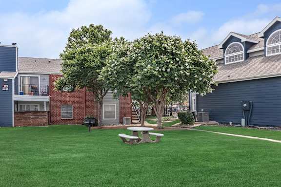 A tree with white flowers is in the middle of a grassy area with a picnic table.
