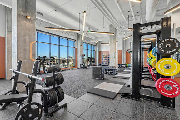 Gym with free weights and treadmills at Velaris Living Apartments, Denver, 80205