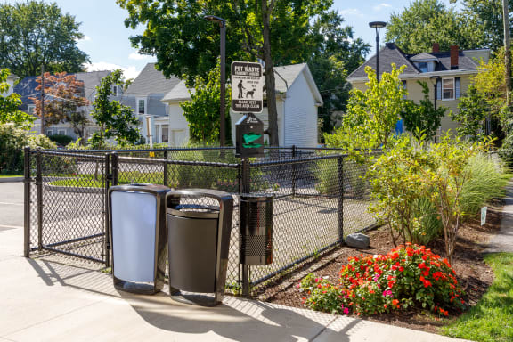 Dog Relief Area at 28 Austin, Newton, MA, 02460