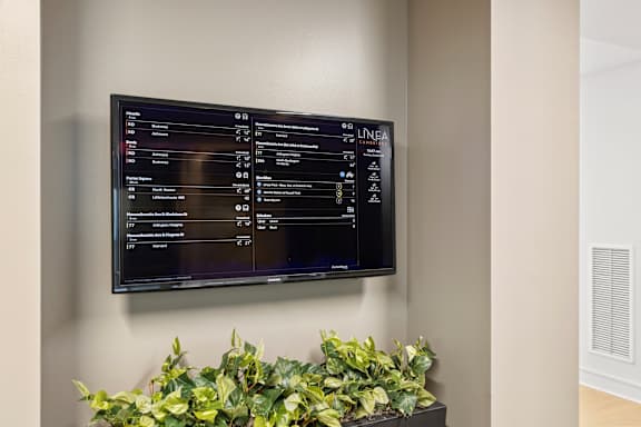 A black screen with white text and a green plant in front of it.