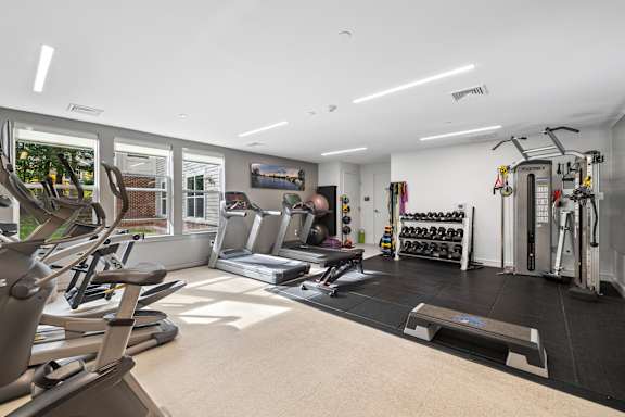 A gym with treadmills, weights, and exercise equipment.