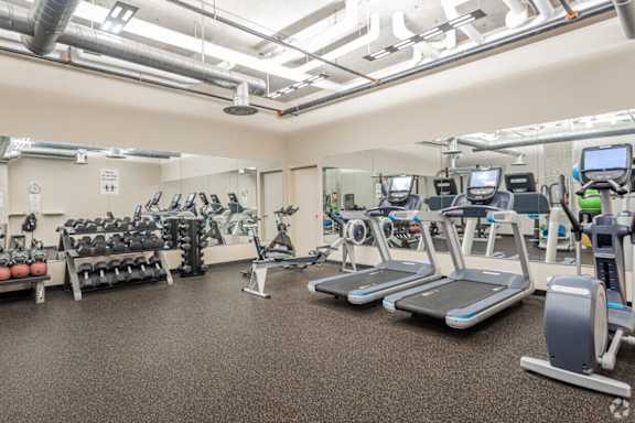 A gym with treadmills, elliptical machines, and dumbbells.