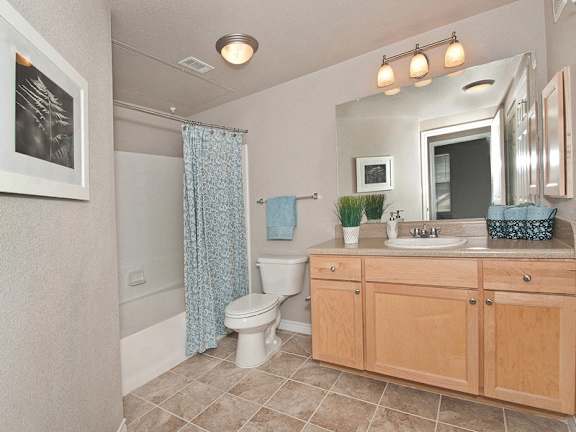A bathroom with a toilet, sink, and shower.