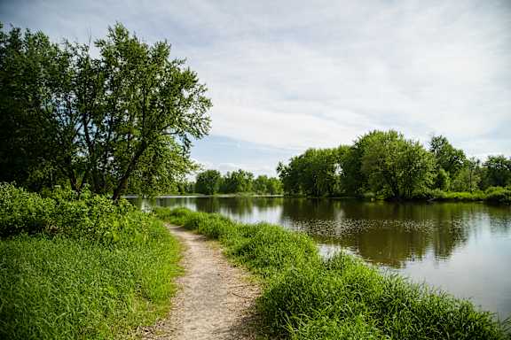 A bridge spans a body of water with a city in the background.