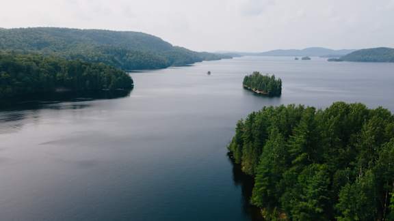 A small island in the middle of a lake surrounded by trees.