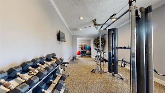 Free Weights at Vue on Medlock, Peachtree Corners, 30092
