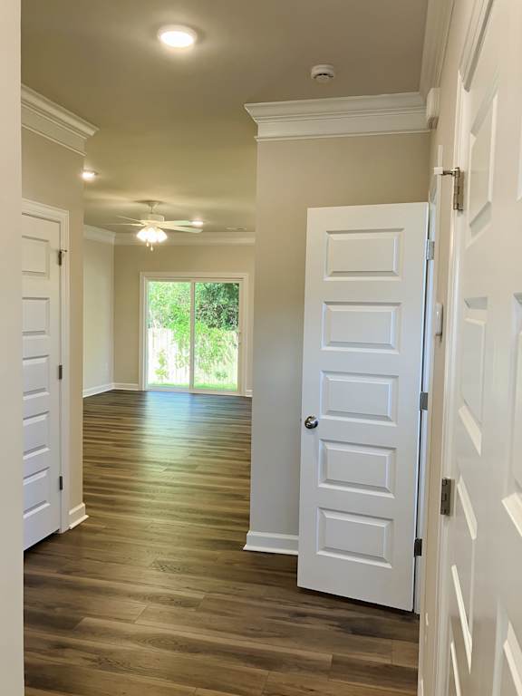 A hallway with white doors and a window.