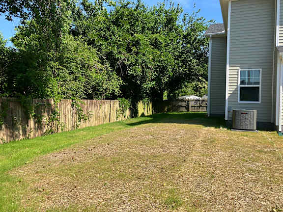 A backyard with a fence and trees.