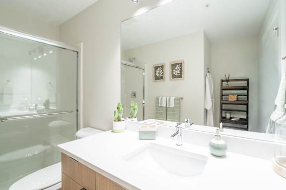 A bathroom with a white sink and a mirror.