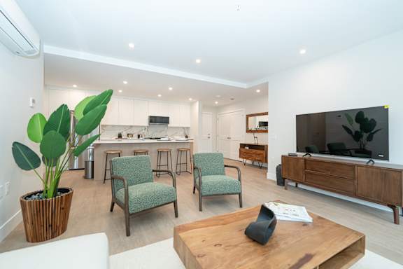 A living room with a television, chairs, and a potted plant.