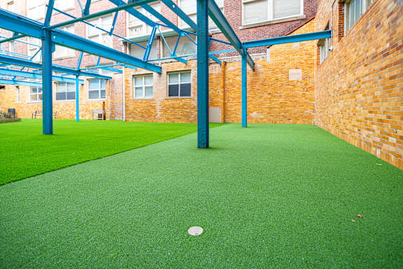 A green lawn with a white circle in the middle.