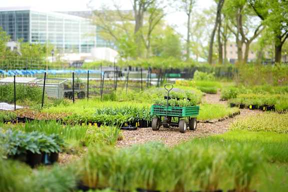 A green wagon is in the middle of a garden at The Grindstone Apartments, Waterdown, Ontario