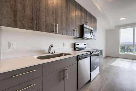 A modern kitchen with a stainless steel dishwasher and microwave above the sink.