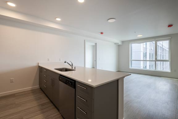 A kitchen with a sink and a window.
