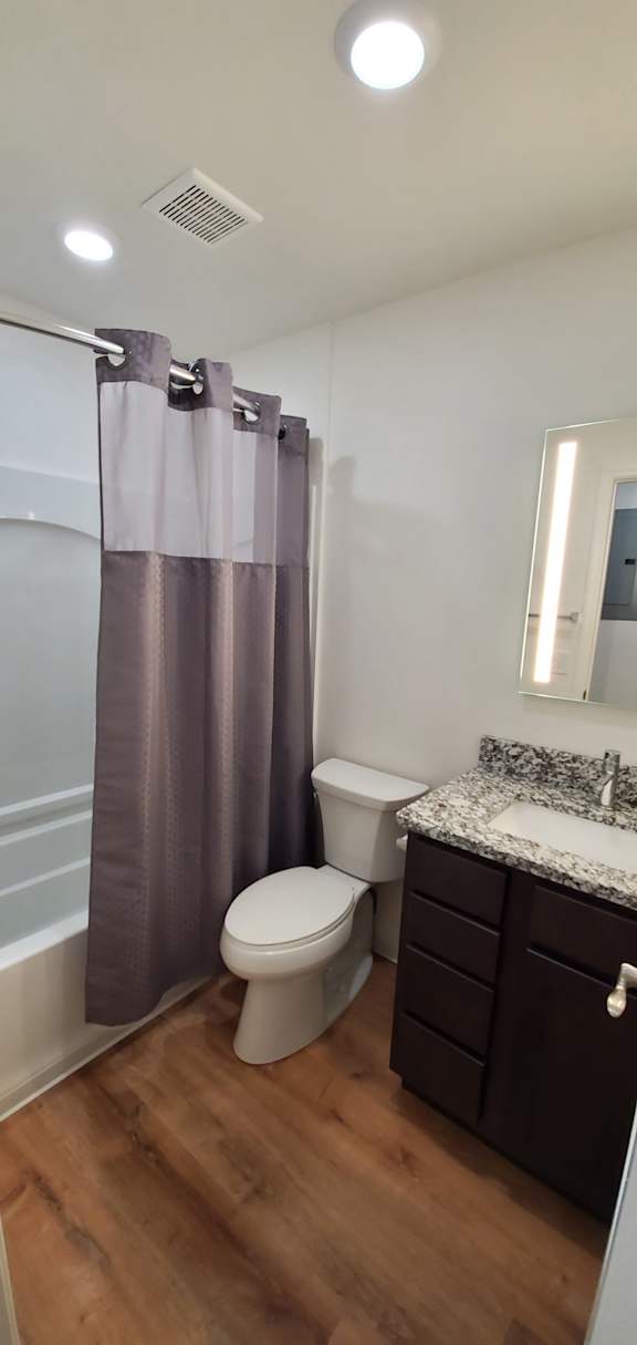 A bathroom with a toilet, sink, and shower curtain.