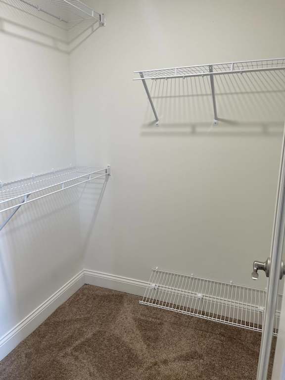 Empty room with white walls and shelves.
