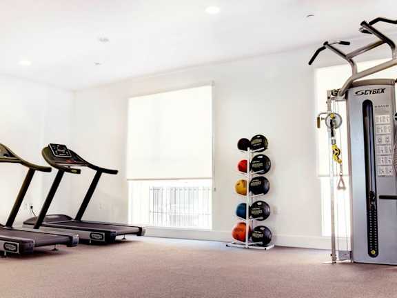 A home gym with a treadmill, elliptical trainer, and a rack of dumbbells.