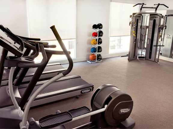 A gym with treadmills, dumbbells and a mirror.