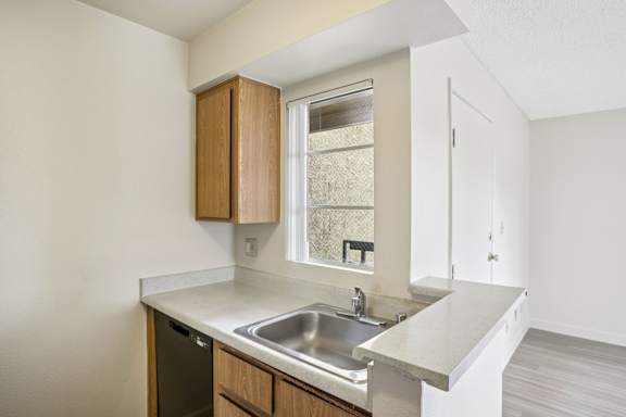 A kitchen with a sink and a window.