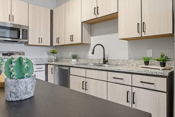 A kitchen with a countertop and cabinets.