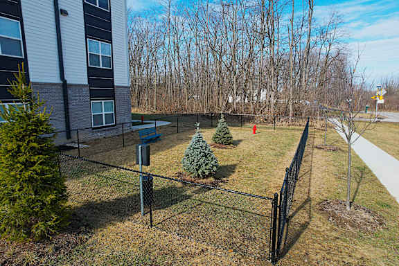 A black fence surrounds a small yard with a few trees and a small Christmas tree.
