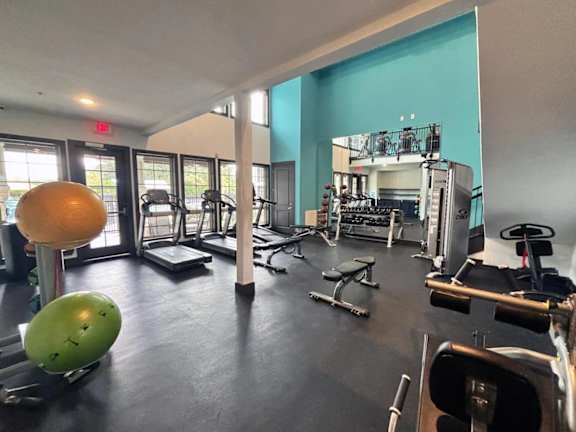 A gym with a variety of equipment including a green ball, orange ball, and a weight machine.