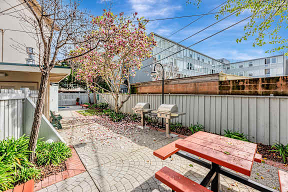 A patio with a picnic table and a tree with pink flowers.