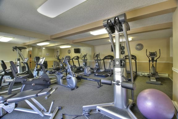 fitness center at Aviana Apartments, Mountain View, CA
