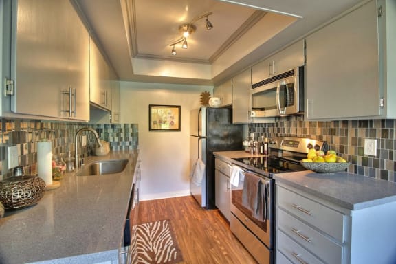 kitchen with stainless steel appliances at Aviana Apartments