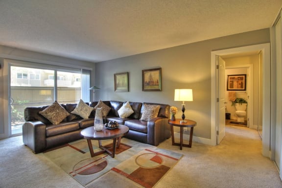 spacious carpeted living room  at Aviana Apartments, Mountain View, California