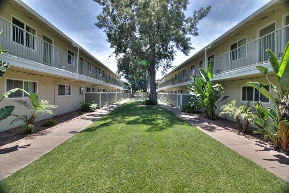 Courtyard With Green Space at Mountain View Place, Mountain View, CA