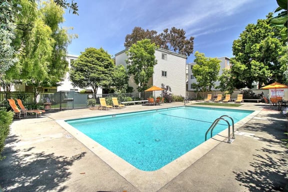 Swimmig at Wellesley Crescent, California, 94062