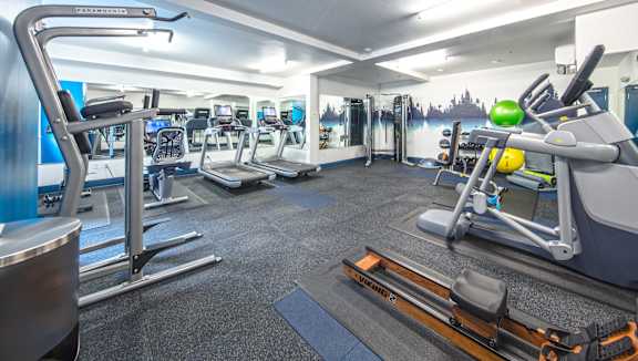 A gym with treadmills, exercise bikes, and other equipment.