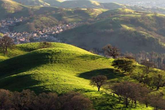 Hill with trees at Renaissance Square, Concord, California