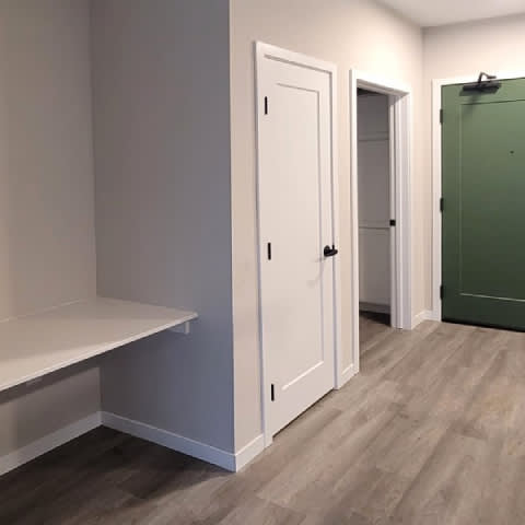 A room with a white door, a green door, and a shelf.