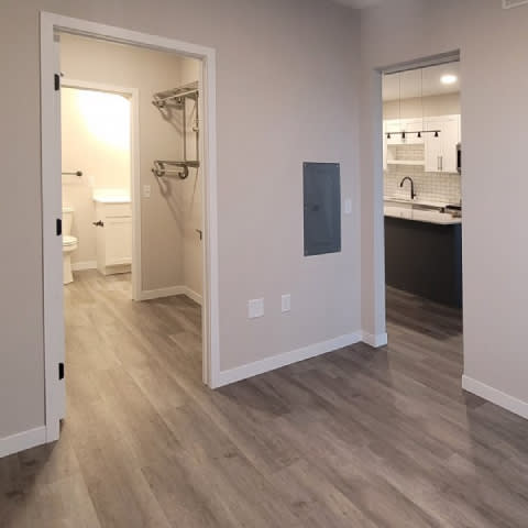 A bathroom with a walk-in shower and a sink in the kitchen.