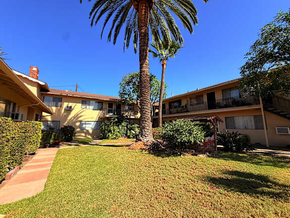 A palm tree stands in the middle of a grassy area in front of apartment buildings.