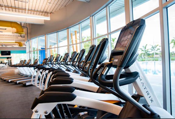 A row of treadmills in a gym.