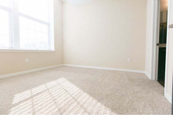A room with a carpet and a window letting in sunlight.