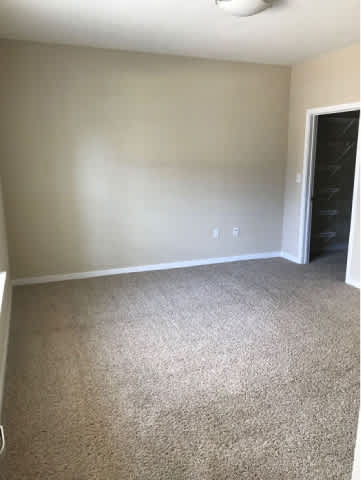 A room with a carpeted floor and a closet with a black door.