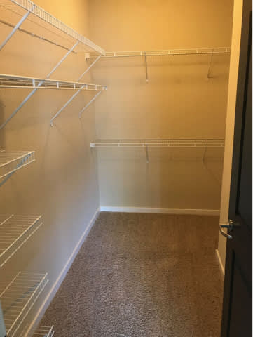 A walk-in closet with shelves and carpeted floor.