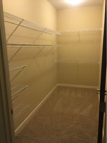 Empty walk in closet with carpeted floor.