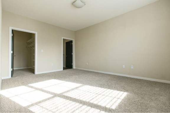 A room with a carpet and a window letting in sunlight.