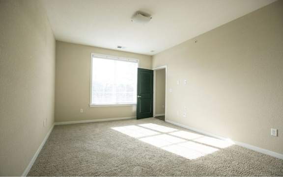 A room with a carpet floor and a window letting in sunlight.