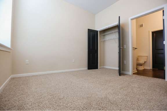 A room with a carpeted floor and a closet with a door open.