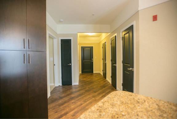 A hallway with a brown door on the left and a black door in the middle.