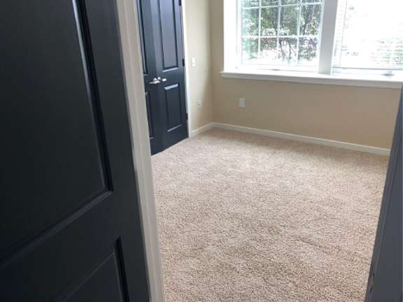 A room with a carpeted floor and a window showing trees outside.