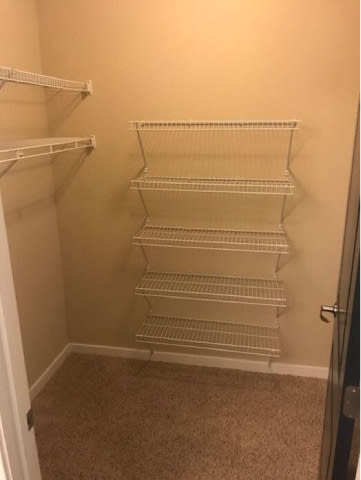 Empty shelves in a small pantry.