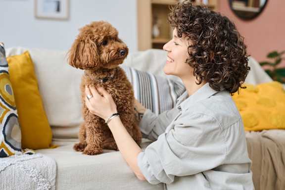 A woman with curly hair is holding a brown dog on a grey couch.